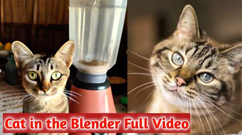 cat blender twitter